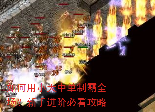 如何用小天中单制霸全场?新手进阶必看攻略 如何用小天中单制霸全场?新手进阶必看攻略