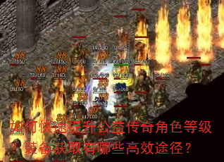 如何快速提升公益传奇角色等级?装备获取有哪些高效途径? 如何快速提升公益传奇角色等级?装备获取有哪些高效途径?