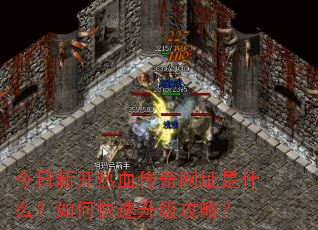 今日新开热血传奇网址是什么?如何快速升级攻略? 今日新开热血传奇网址是什么?如何快速升级攻略?