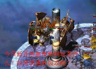 今日新开热血传奇网址是什么?如何快速升级攻略? 今日新开热血传奇网址是什么?如何快速升级攻略?