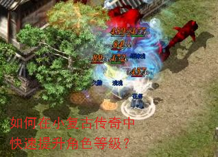 如何在小复古传奇中快速提升角色等级? 如何在小复古传奇中快速提升角色等级?